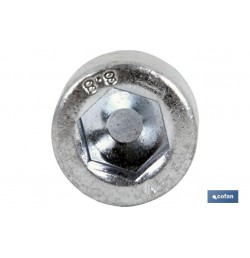 DIN-912 C-8.8    M-10 X 50 Z