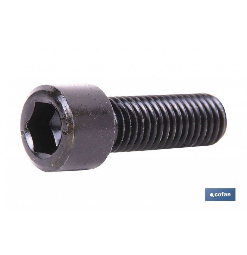 DIN-912 C-8.8    M-24 X 60 N