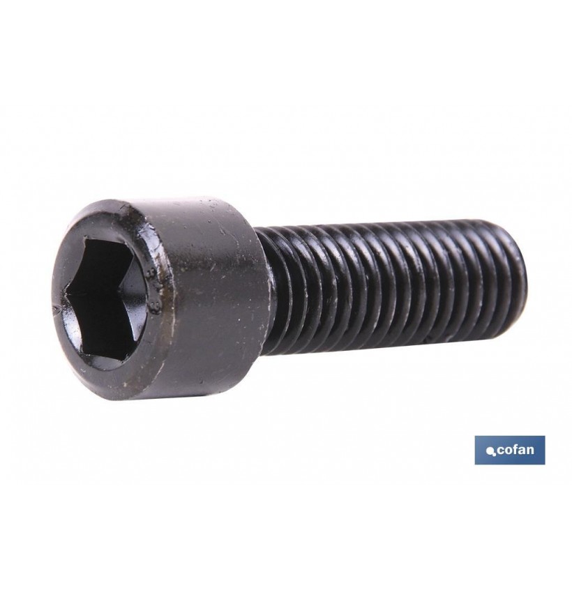 DIN-912 C-12.9    M-5 X 10 N