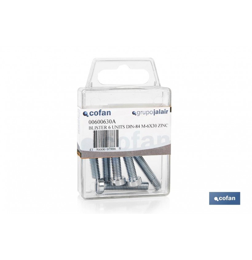 BL 10 UDS. DIN-84 M-4X30 Z