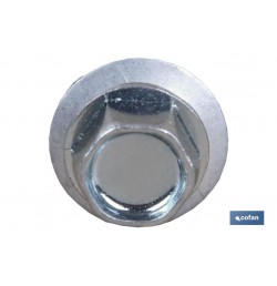 TORNILLO CUBIERTA P/VIGUETA 5,5X38 EP-16