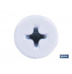 TORNILLO AUTOT. EXTRAPLANO 4,2 X 14 BLANCO