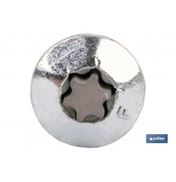 TORNILLO INVIOLABLE TORX30 M-7X60