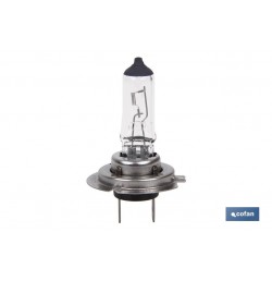 LÁMPARA HALÓGENA COFAN H7 (Px26d) 12V 55W
