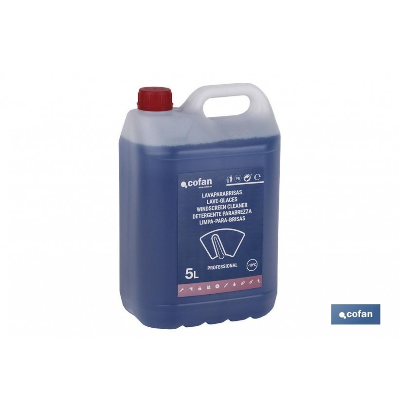 LAVAPARABRISAS ANTICONGELANTE -10º 5 L