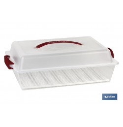 TARTERA  RECTANGULAR PAVLOVA OPACA ASAS CREMA 38X28x13cm