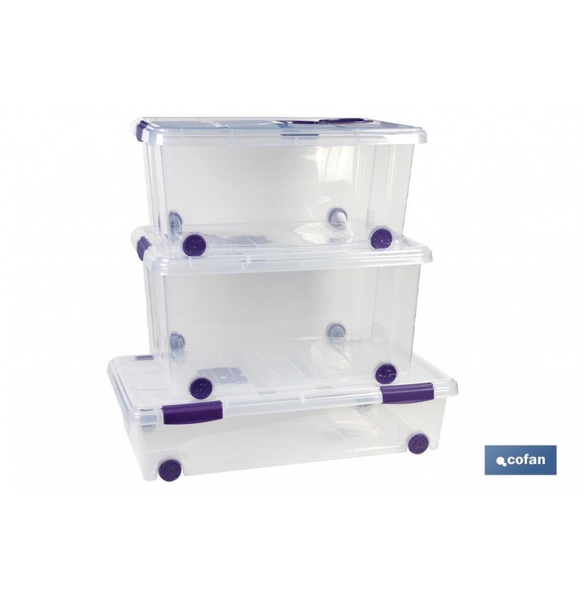 CAJA ORDENACION CON RUEDAS 36L MODELO RICORDI 59X40X25cm