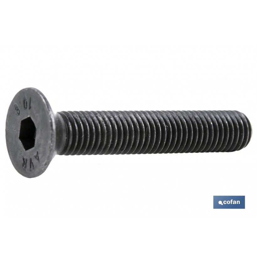 DIN-7991 C-10.9  M-24 X 100 N
